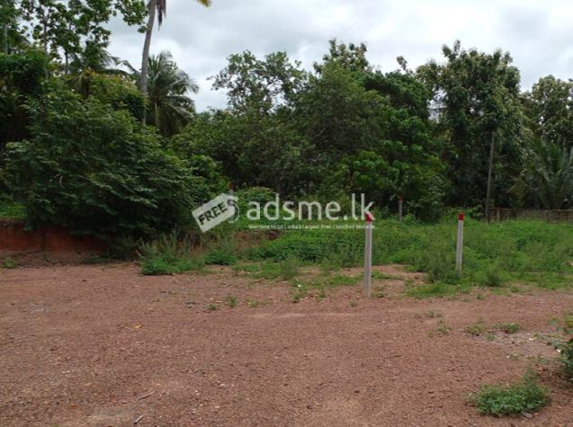 05 Land blocks for Sale in Kalahugoda, Minuwangoda.