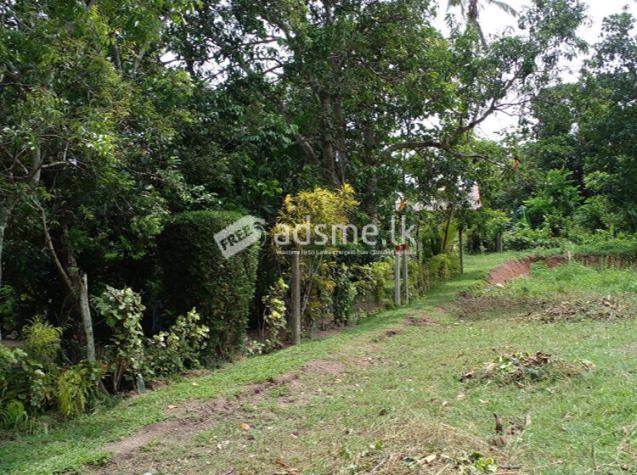 05 Land blocks for Sale in Kalahugoda, Minuwangoda.