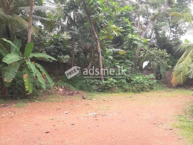 Good Residential 15 Perches of Land for Sale in Ragama.