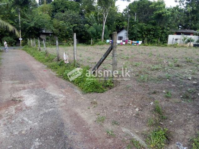 Land For Sale