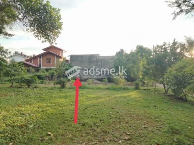 Land For Sale