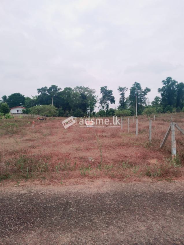 Land For sale in Horana