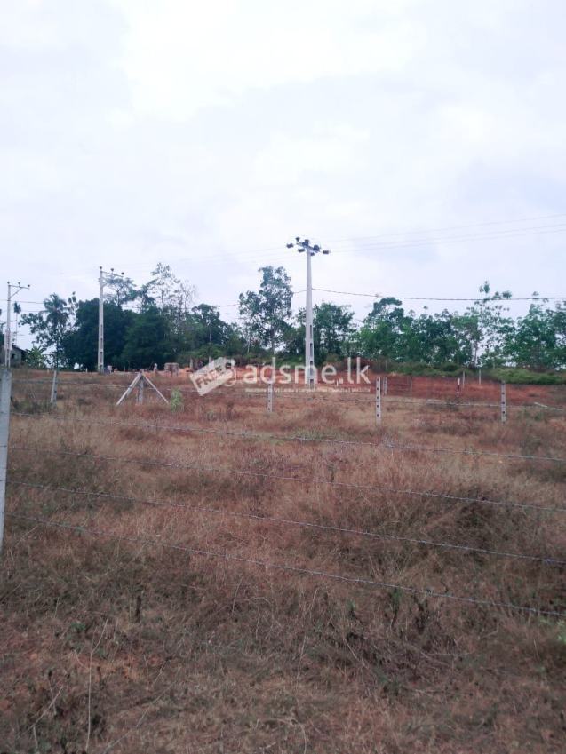 Land For sale in Horana