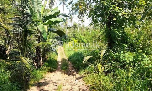 5 Acres Commercial Land for Sale in Nalla, Mirigama.