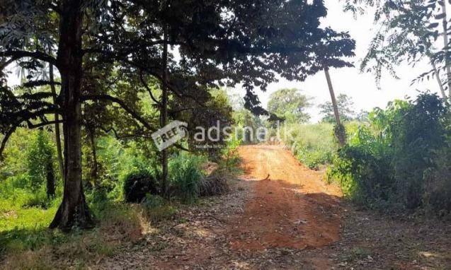 5 Acres Commercial Land for Sale in Nalla, Mirigama.