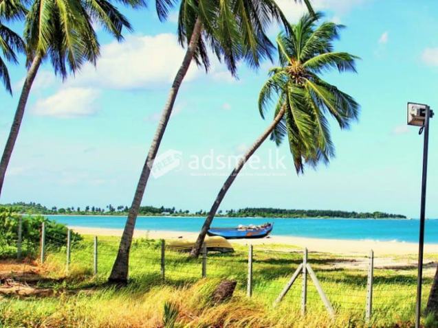 26 Acres of Beach front Land for Sale at Pasikuda.
