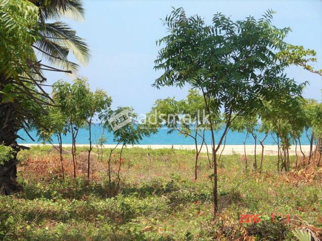 26 Acres of Beach front Land for Sale at Pasikuda.
