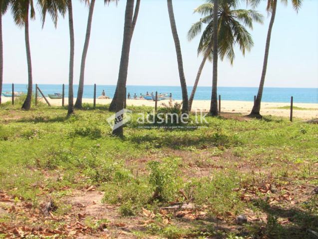 26 Acres of Beach front Land for Sale at Pasikuda.