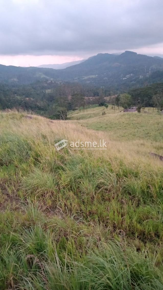 Land for Sale in Galaha – kandy