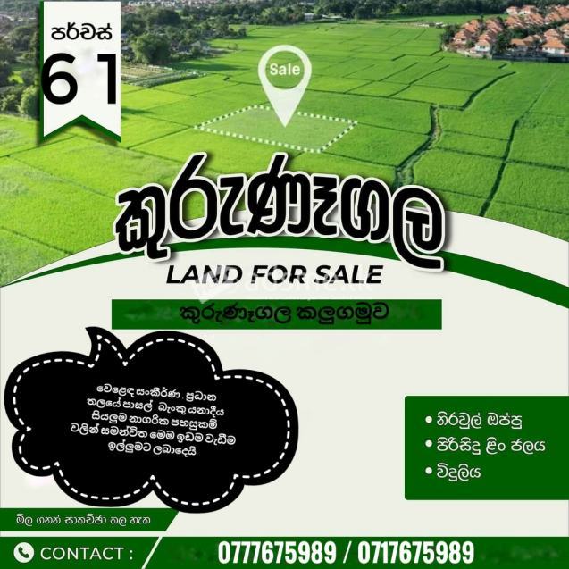 Land For Sale