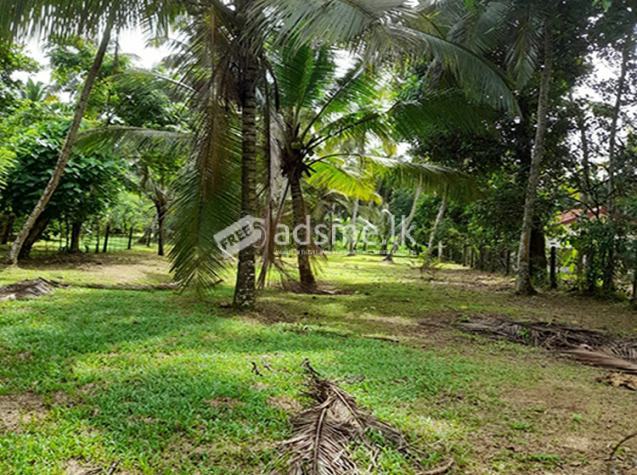 30 Perches Land for sale in Kanduboda, Delgoda.