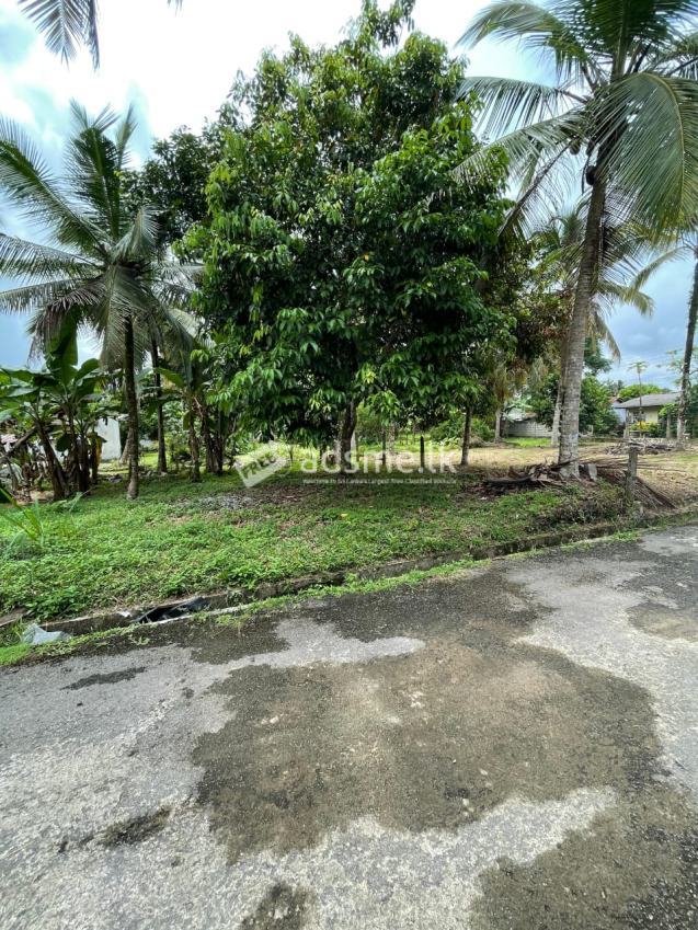 11 Perch Land 600m to Polgasowita Town