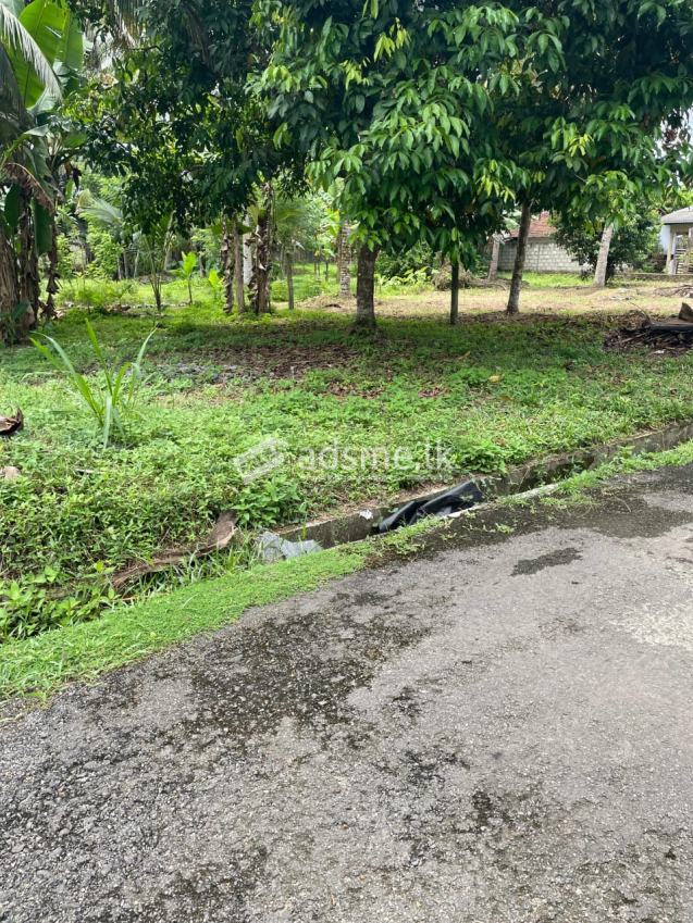 11 Perch Land 600m to Polgasowita Town