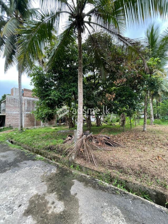 11 Perch Land 600m to Polgasowita Town