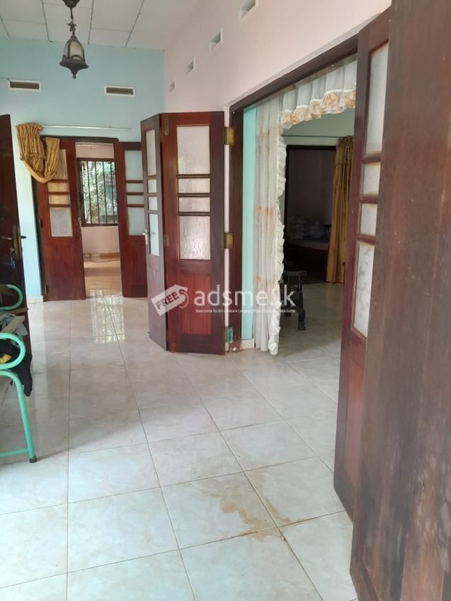 House For Rent