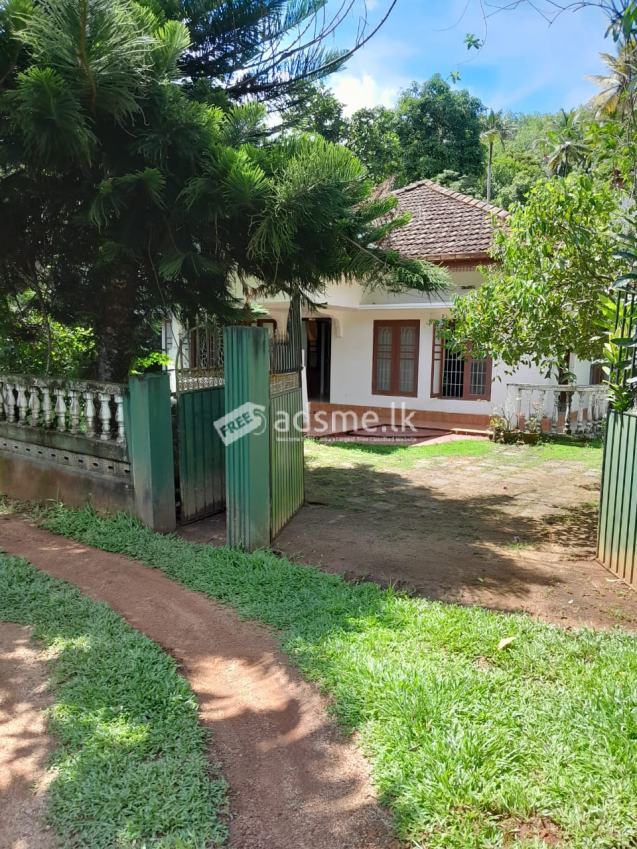 House For Rent
