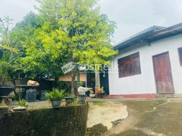 House For Sale
