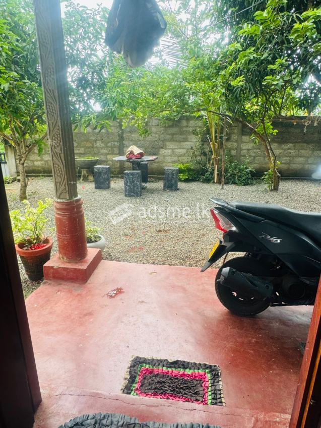 House For Sale