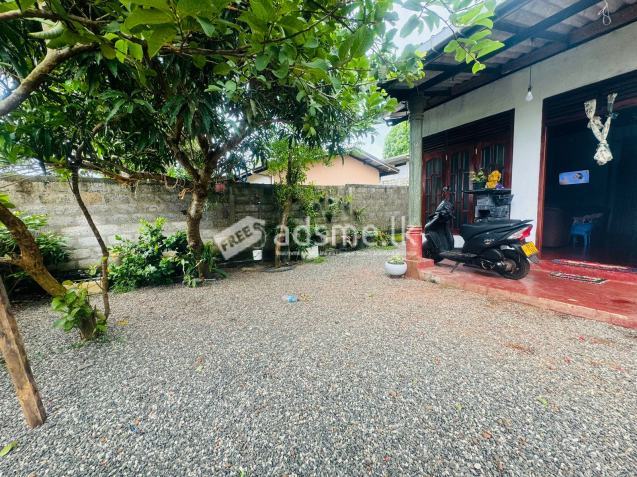 House For Sale