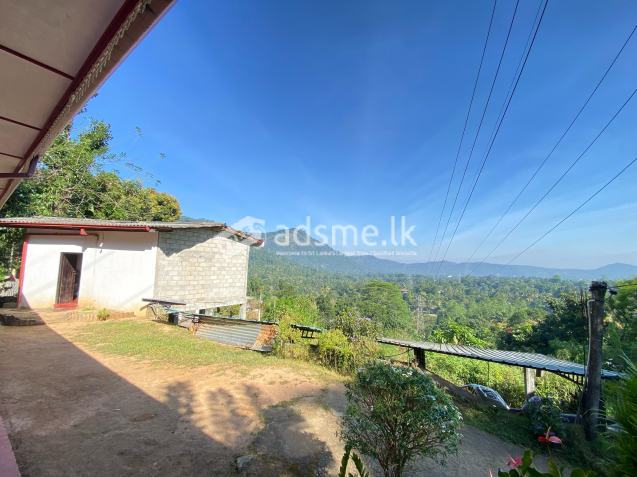 House For Sale