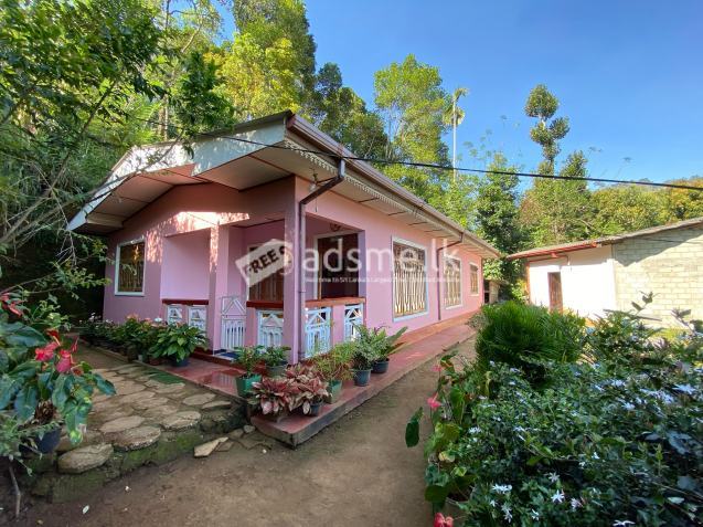 House For Sale