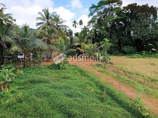 Land For Sale In Poruwadanda