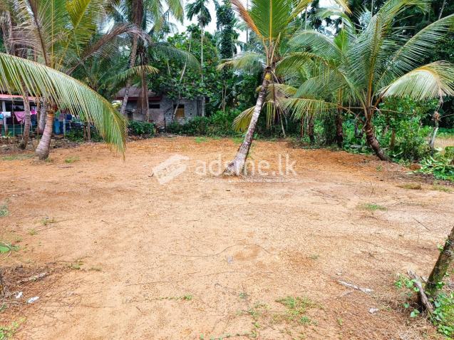 Land For Sale In Poruwadanda
