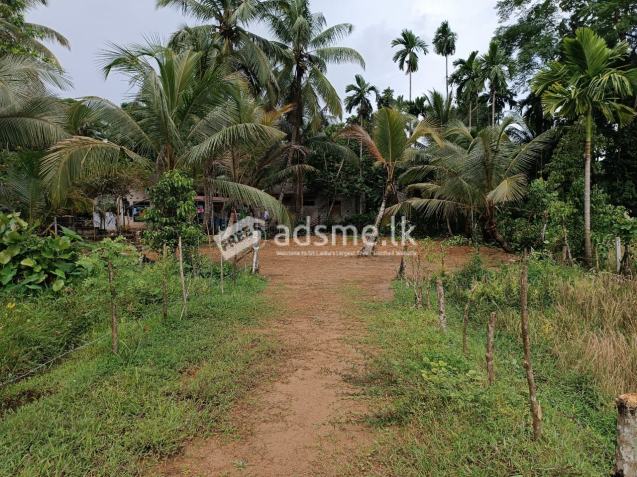 Land For Sale In Poruwadanda