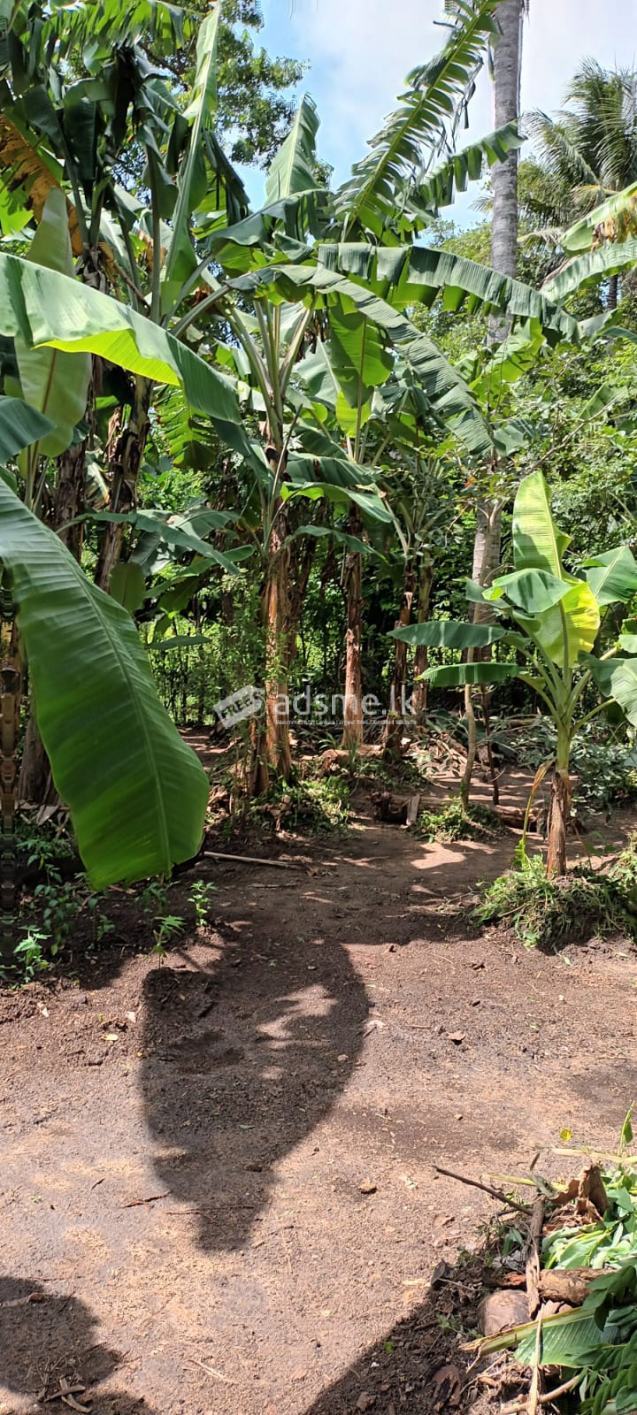 2 Land For Sale