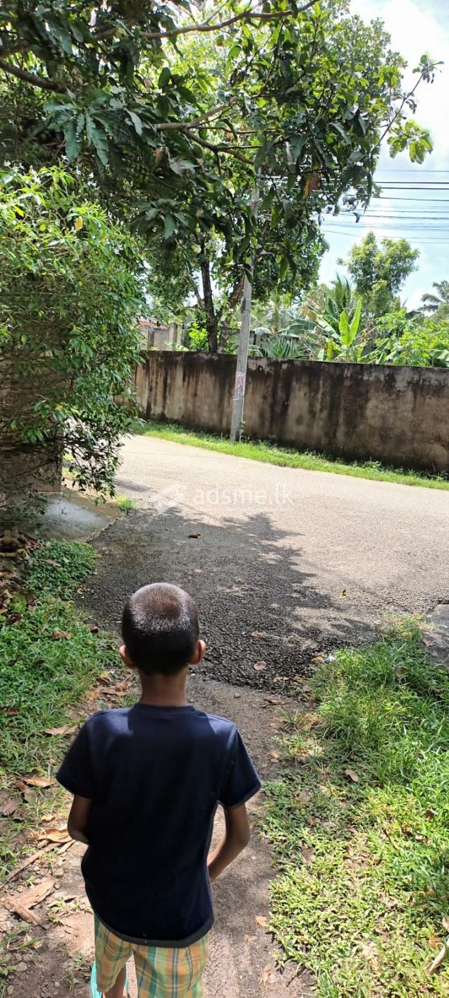 2 Land For Sale