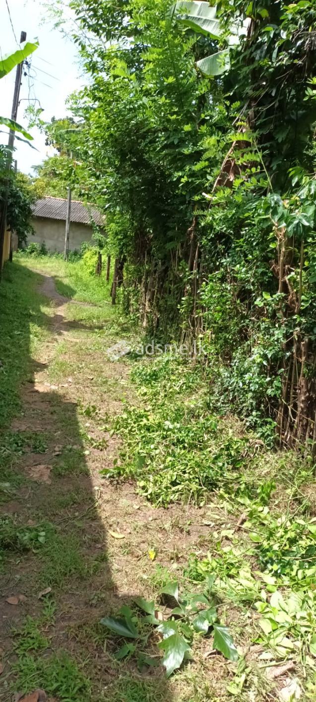 2 Land For Sale