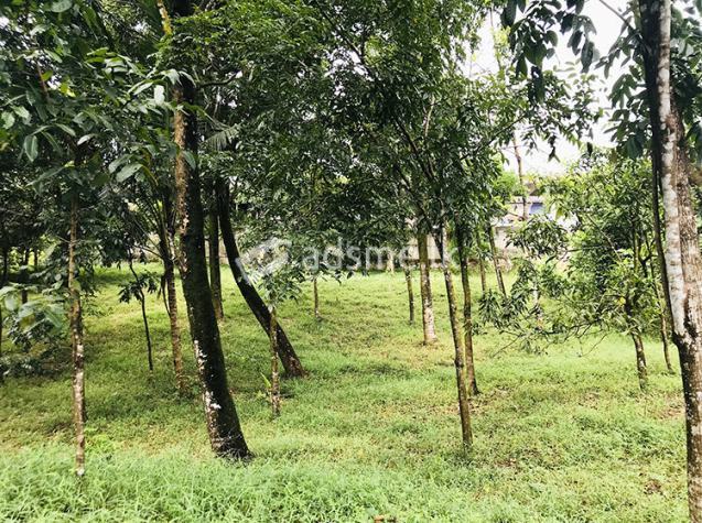 Valuable Land Property for Sale in Nawalamulla, Homagama.