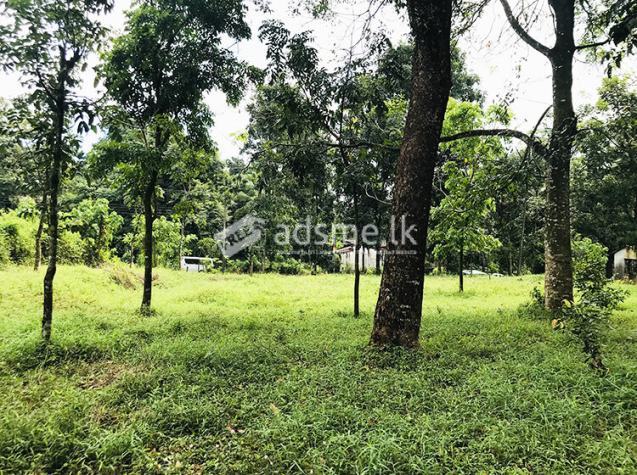 Valuable Land Property for Sale in Nawalamulla, Homagama.