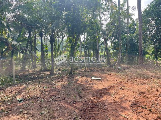 Land With House For Sale