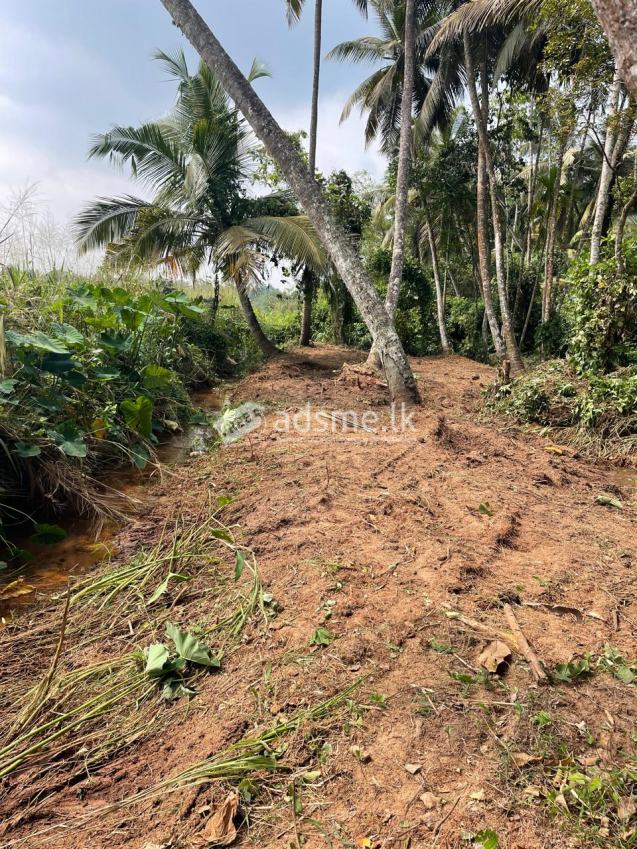Land With House For Sale