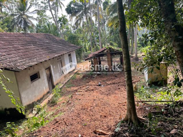 Land With House For Sale