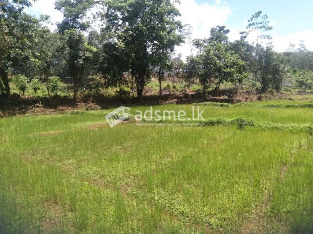 Land For sale in Horana