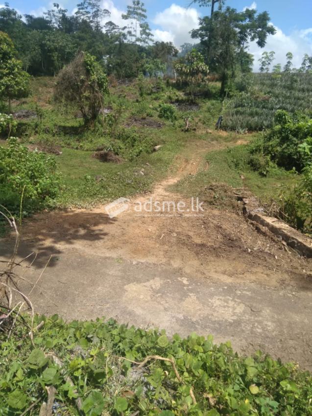 Land For sale in Horana