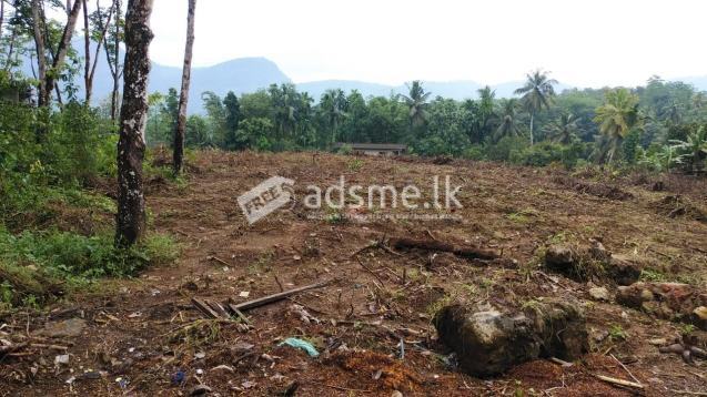 Land For Sale In Horana