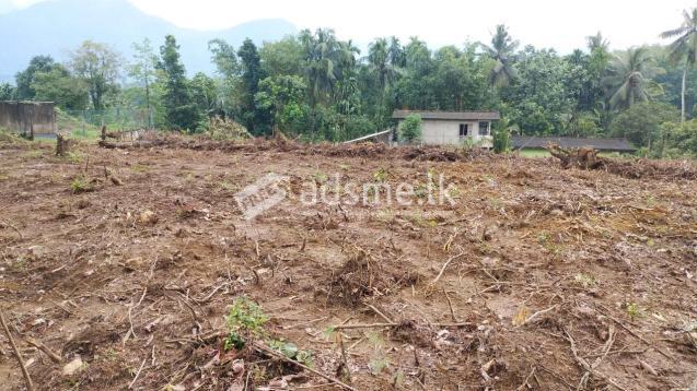 Land For Sale In Horana