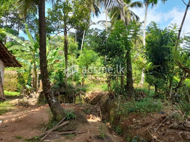 Land With House For Sale