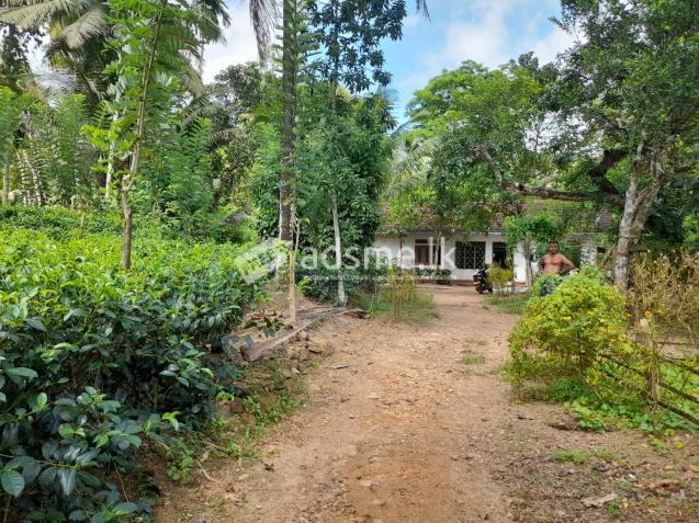 Land With House For Sale