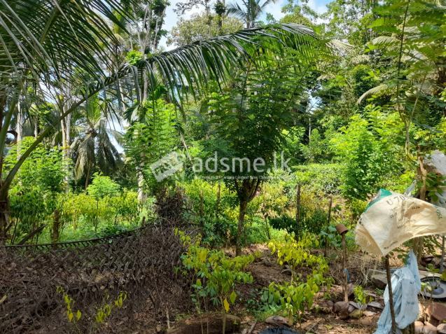 Land With House For Sale