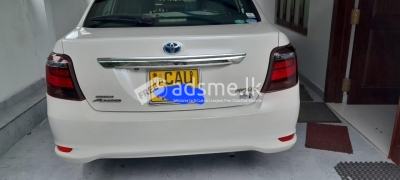 Toyota Axio 2017 (Used)