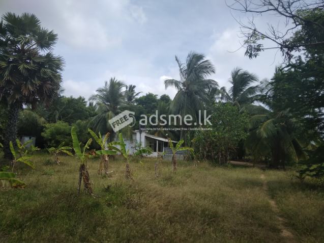 House for sale