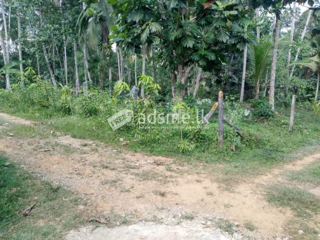 Land For Sale In Horana