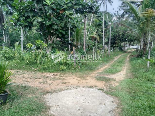 Land For Sale In Horana
