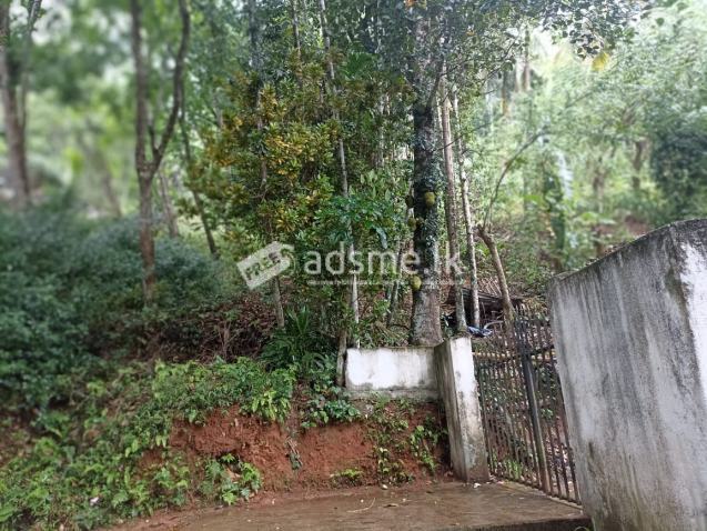 Rubber land for sale