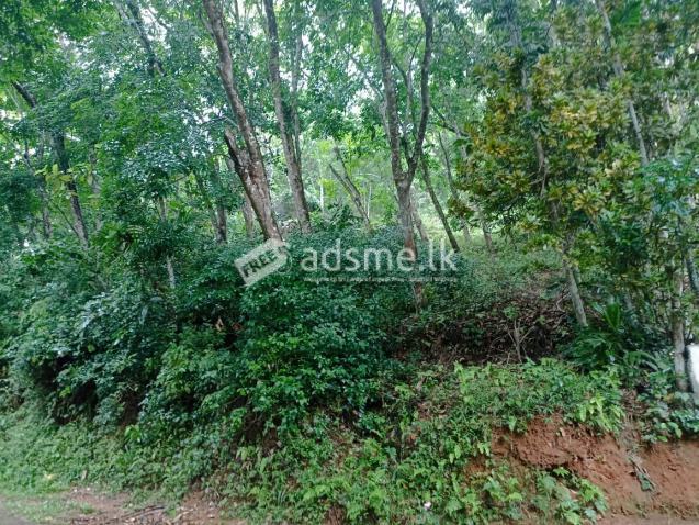 Rubber land for sale