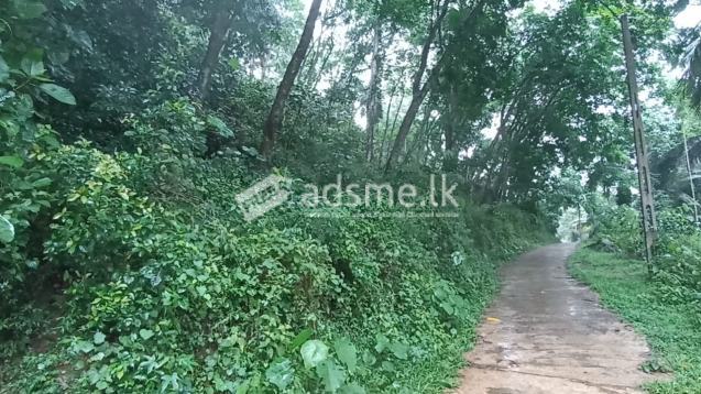 Rubber land for sale